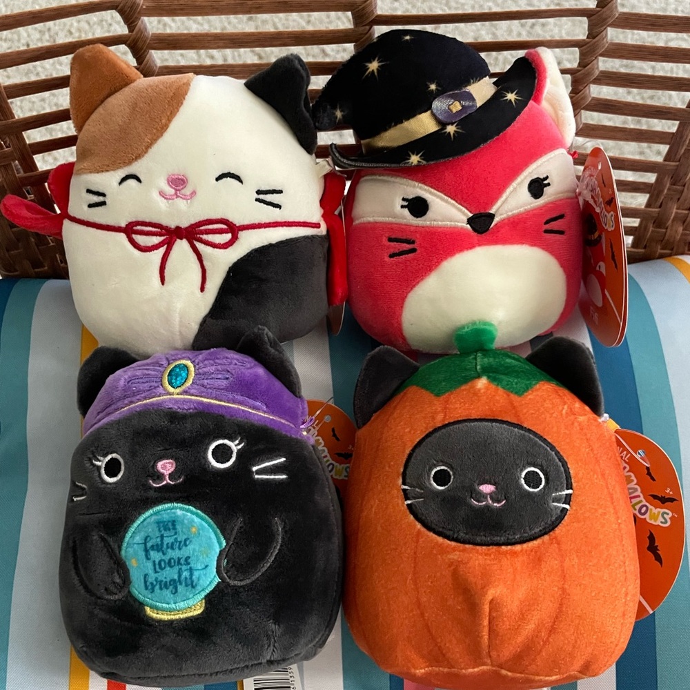 Halloween Cat Squishmallow Bundle